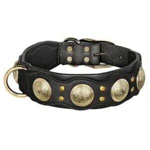 Dog collars