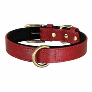 Dog collars