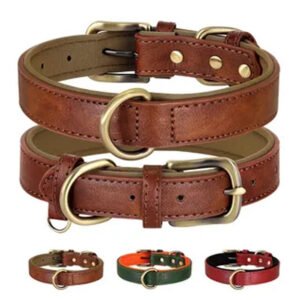 Dog collars