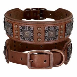 Dog collars