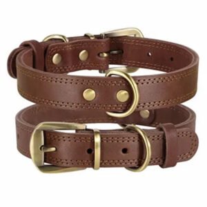 Dog collars